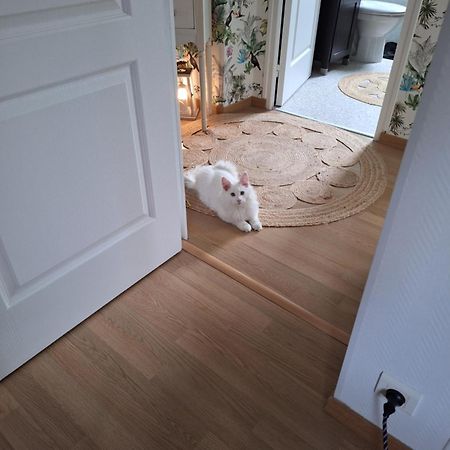 Chambre Climatisee Au Coeur De Brive Avec Televiseur Connecte Wifi Netflix Εξωτερικό φωτογραφία